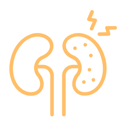 Renal Stage 1-3